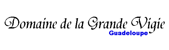 Domainedelagrandevigie