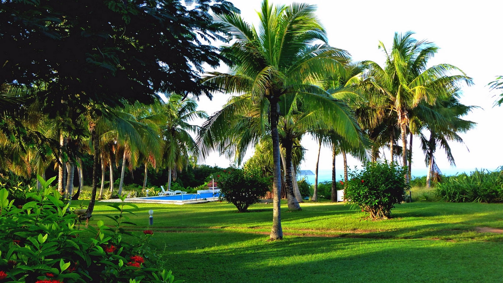 DOMAINE